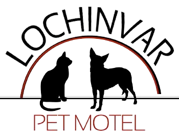 Hunter Valley Pet Motel